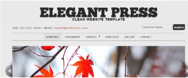 Free HTML5 And CCS3 Portfolio Templates-elegantpress
