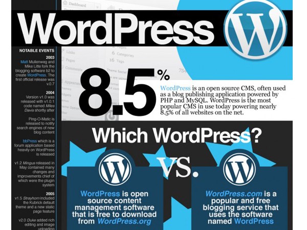 WordPress Infographics-prolificrise