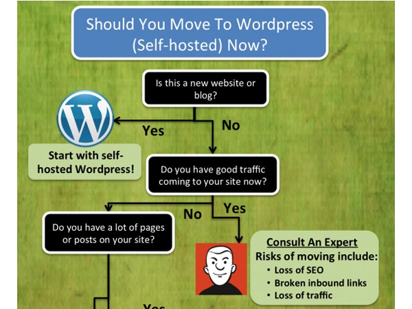 WordPress Infographics-shouldimovetowordpress