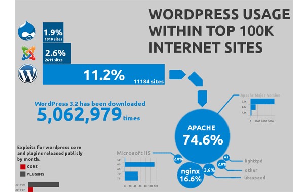 WordPress Infographics-wordpresusage