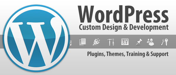 Add-ons-offered-by-WordPress-Website-Development